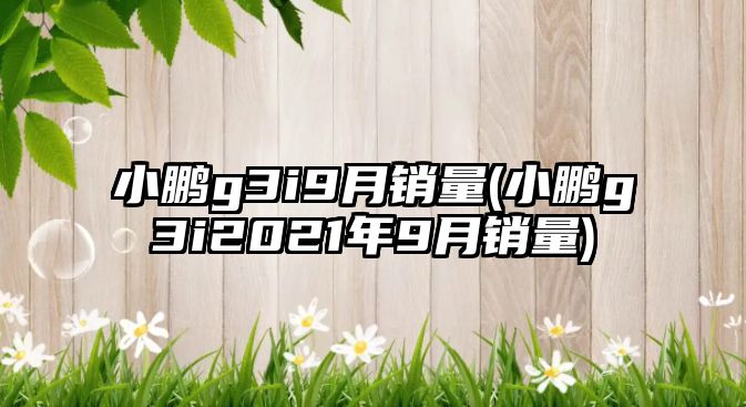 小鵬g3i9月銷量(小鵬g3i2021年9月銷量)