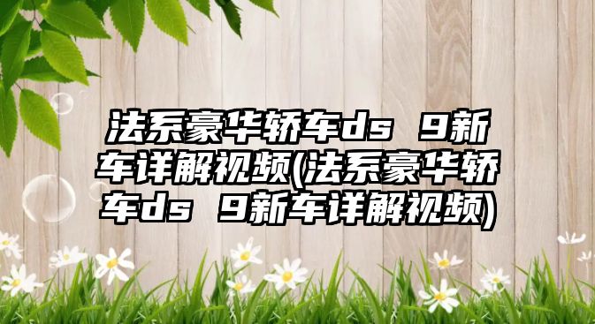 法系豪華轎車ds 9新車詳解視頻(法系豪華轎車ds 9新車詳解視頻)