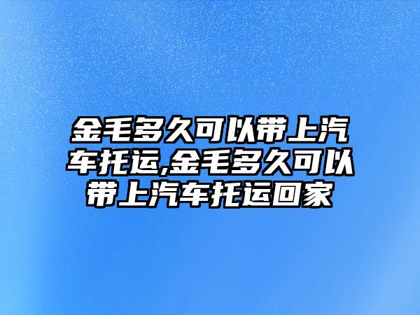 金毛多久可以帶上汽車托運(yùn),金毛多久可以帶上汽車托運(yùn)回家