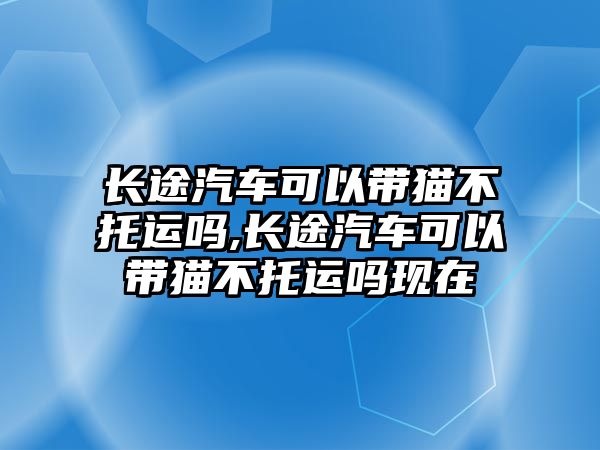 長途汽車可以帶貓不托運(yùn)嗎,長途汽車可以帶貓不托運(yùn)嗎現(xiàn)在