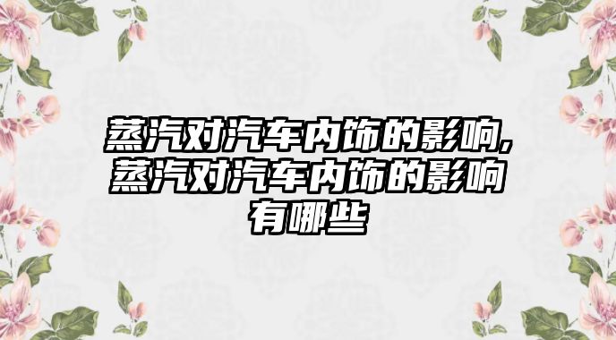 蒸汽對汽車內(nèi)飾的影響,蒸汽對汽車內(nèi)飾的影響有哪些