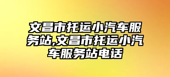 文昌市托運小汽車服務(wù)站,文昌市托運小汽車服務(wù)站電話