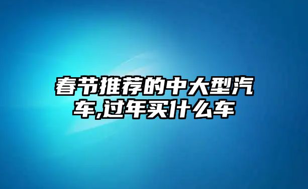 春節(jié)推薦的中大型汽車,過年買什么車