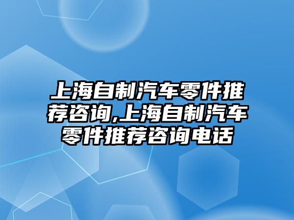 上海自制汽車零件推薦咨詢,上海自制汽車零件推薦咨詢電話