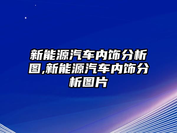 新能源汽車(chē)內(nèi)飾分析圖,新能源汽車(chē)內(nèi)飾分析圖片