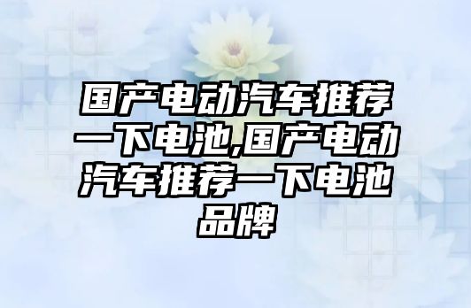 國產(chǎn)電動汽車推薦一下電池,國產(chǎn)電動汽車推薦一下電池品牌