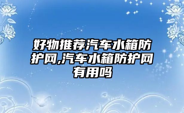 好物推薦汽車水箱防護(hù)網(wǎng),汽車水箱防護(hù)網(wǎng)有用嗎