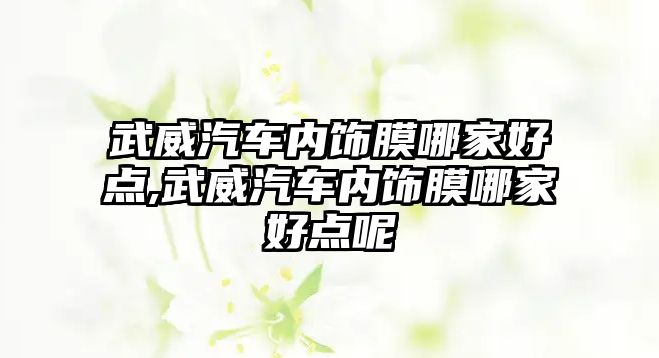 武威汽車(chē)內(nèi)飾膜哪家好點(diǎn),武威汽車(chē)內(nèi)飾膜哪家好點(diǎn)呢