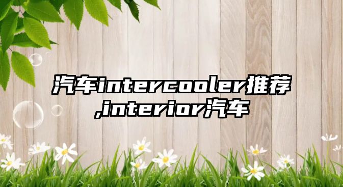 汽車intercooler推薦,interior汽車