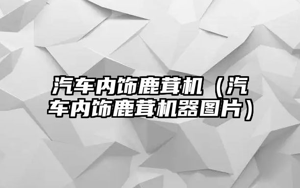 汽車內(nèi)飾鹿茸機（汽車內(nèi)飾鹿茸機器圖片）